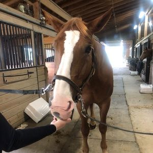 Meet your Posher, Megan